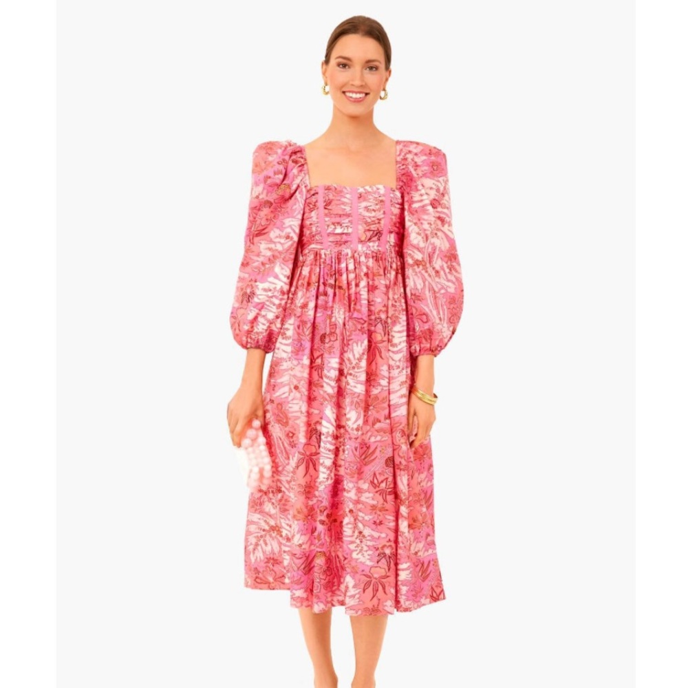 Ulla Johnson Leilani dress 4